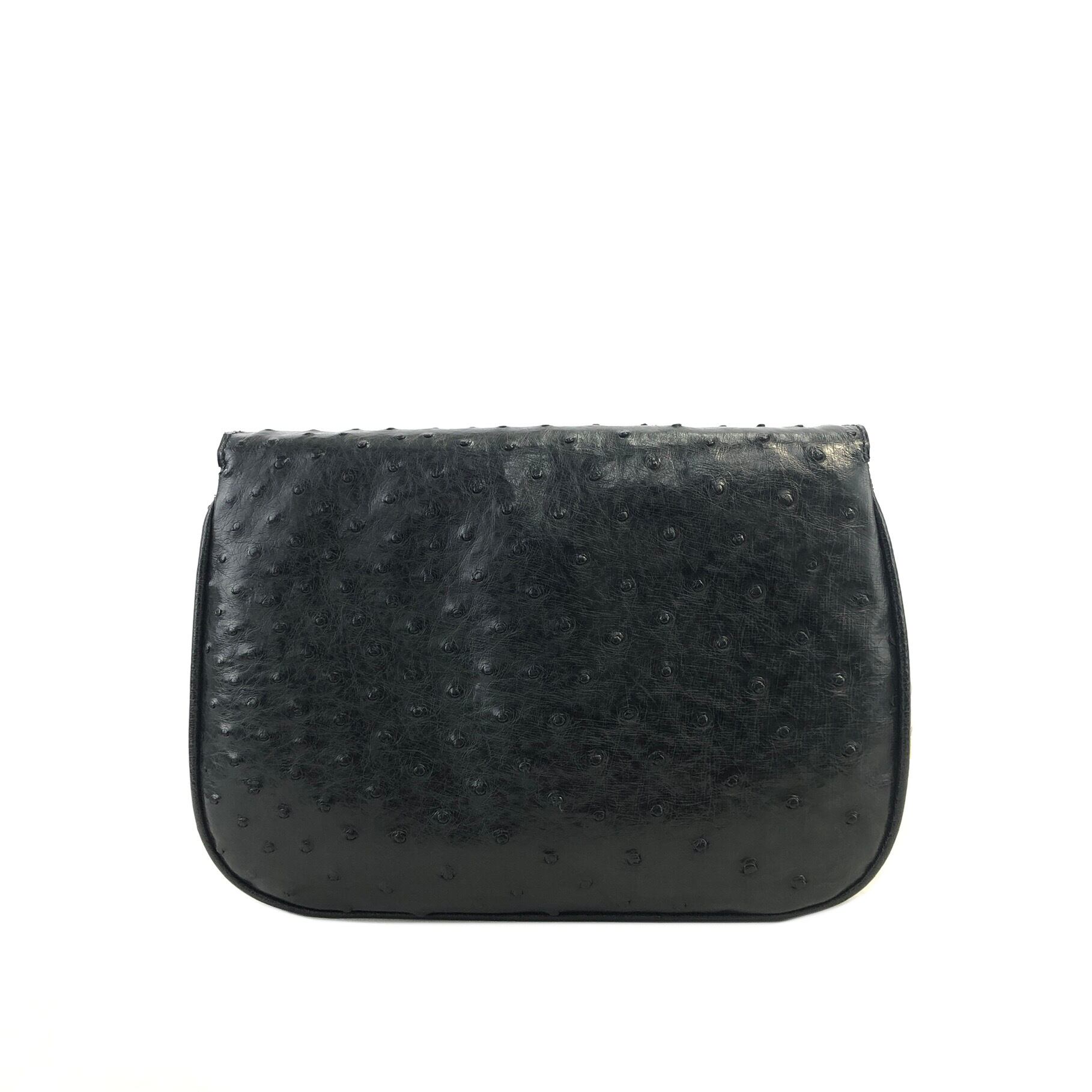 CELINE セリーヌ オーストリッチ トリオンフ金具 レザー CELINE セリーヌ オーストリッチ トリオンフ金具 レザー