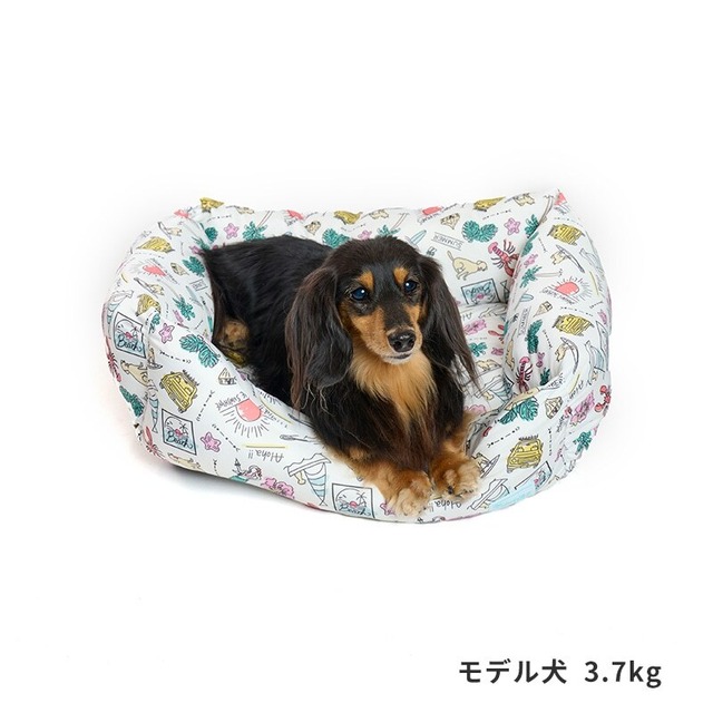 ペット用ベッド　シーサイドスクエアベッド  [カラー: カラフル]