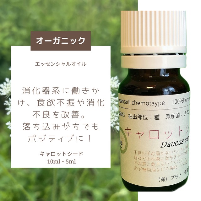 キャロットシード（10ml）