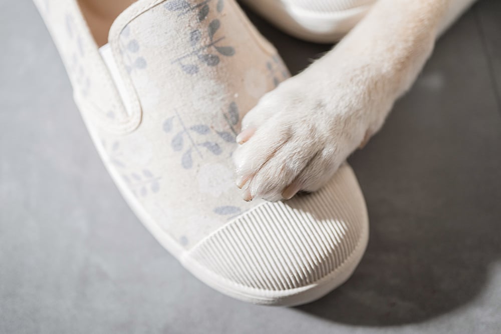 ぷっくりスリッポン 白のゆらめき 程よい可愛さが魅力の柄物シューズ