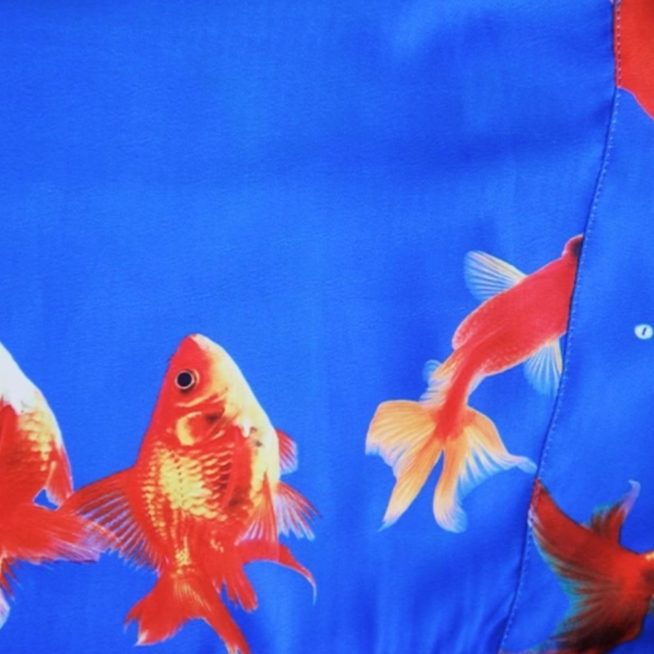 紅の金魚が前面で泳ぐブルーの半袖オーバーシャツ E00260