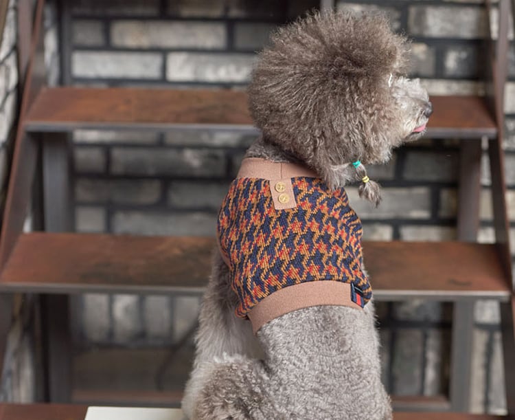 ニットクロップドトップス S ~ 2XL 4color  /  犬服 新作 秋冬 ショート丈 crop top クロップドトップス 小型犬 中型犬 ペット洋服 ドッグウェア ペット用品　b46