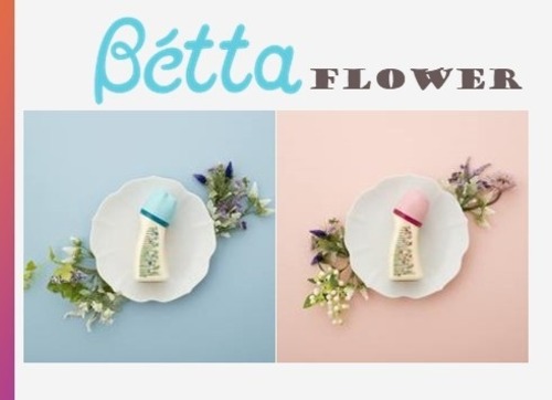 Betta ベッタ　哺乳びん ブレイン 広口 WS4-240ml Flower