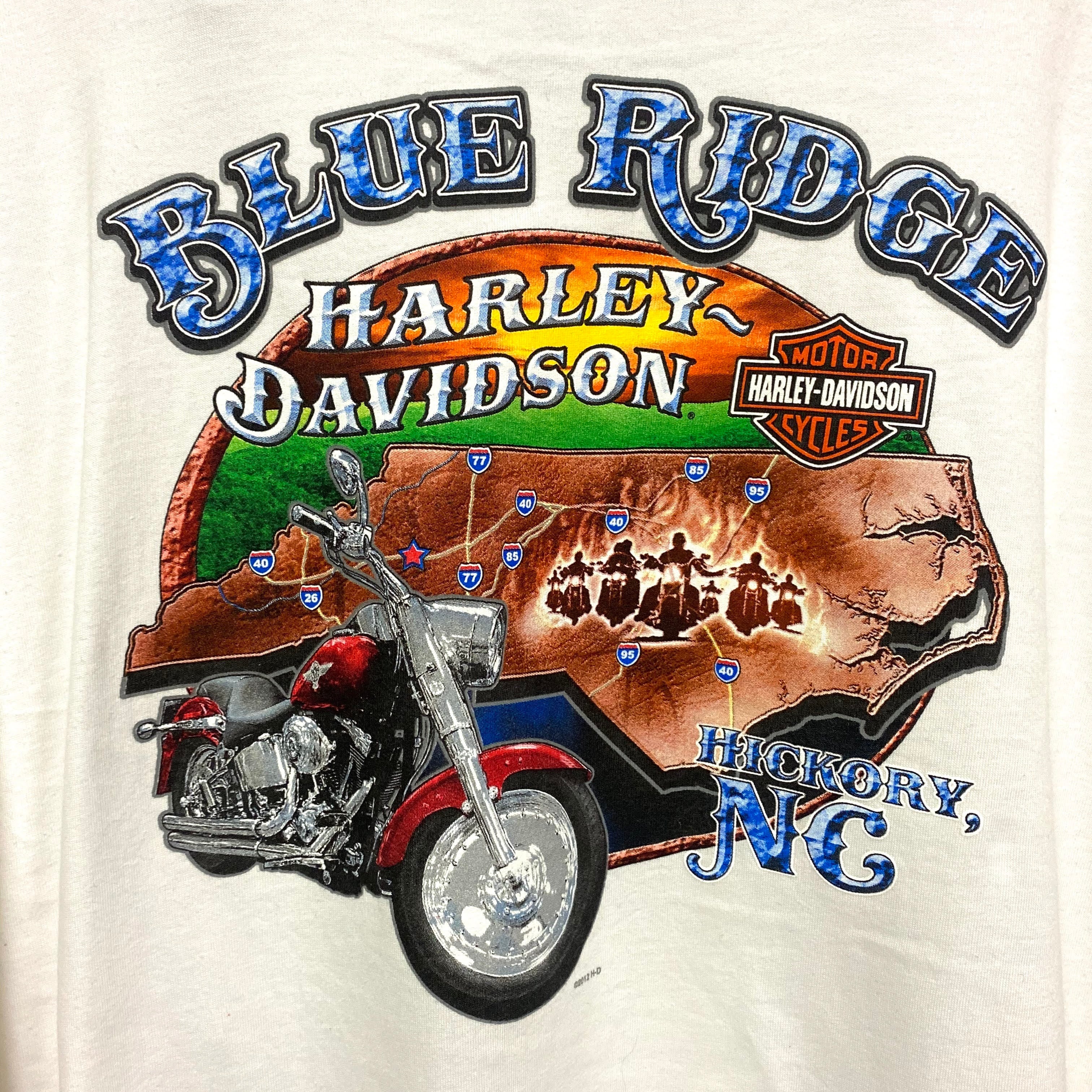 Harley-Davidson ハーレーダビッドソン ロングTシャツ バイク モーター