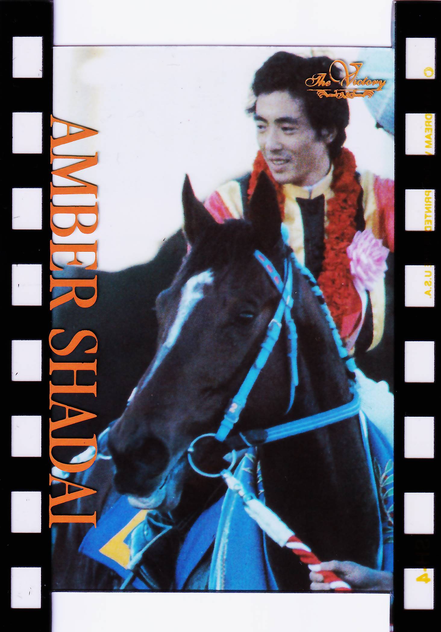 第9回ジャパンカップ：ホーリックス(Dream)「The Victory 2000」R-24