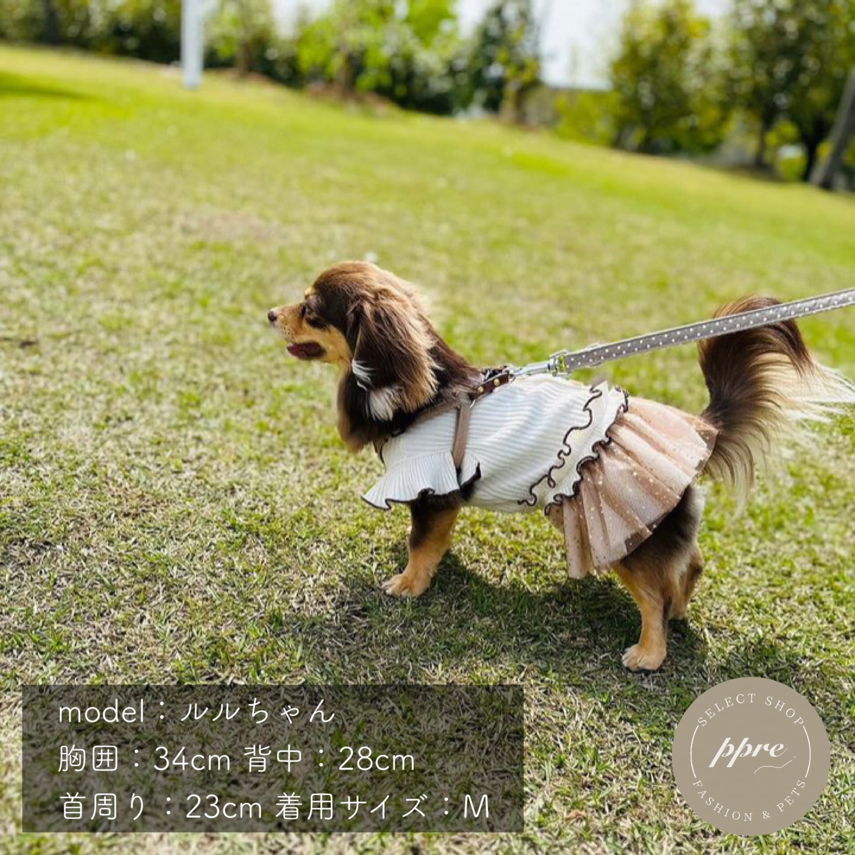 ナチュラル メロウリブ チュール ワンピース 犬服 ドッグウェア