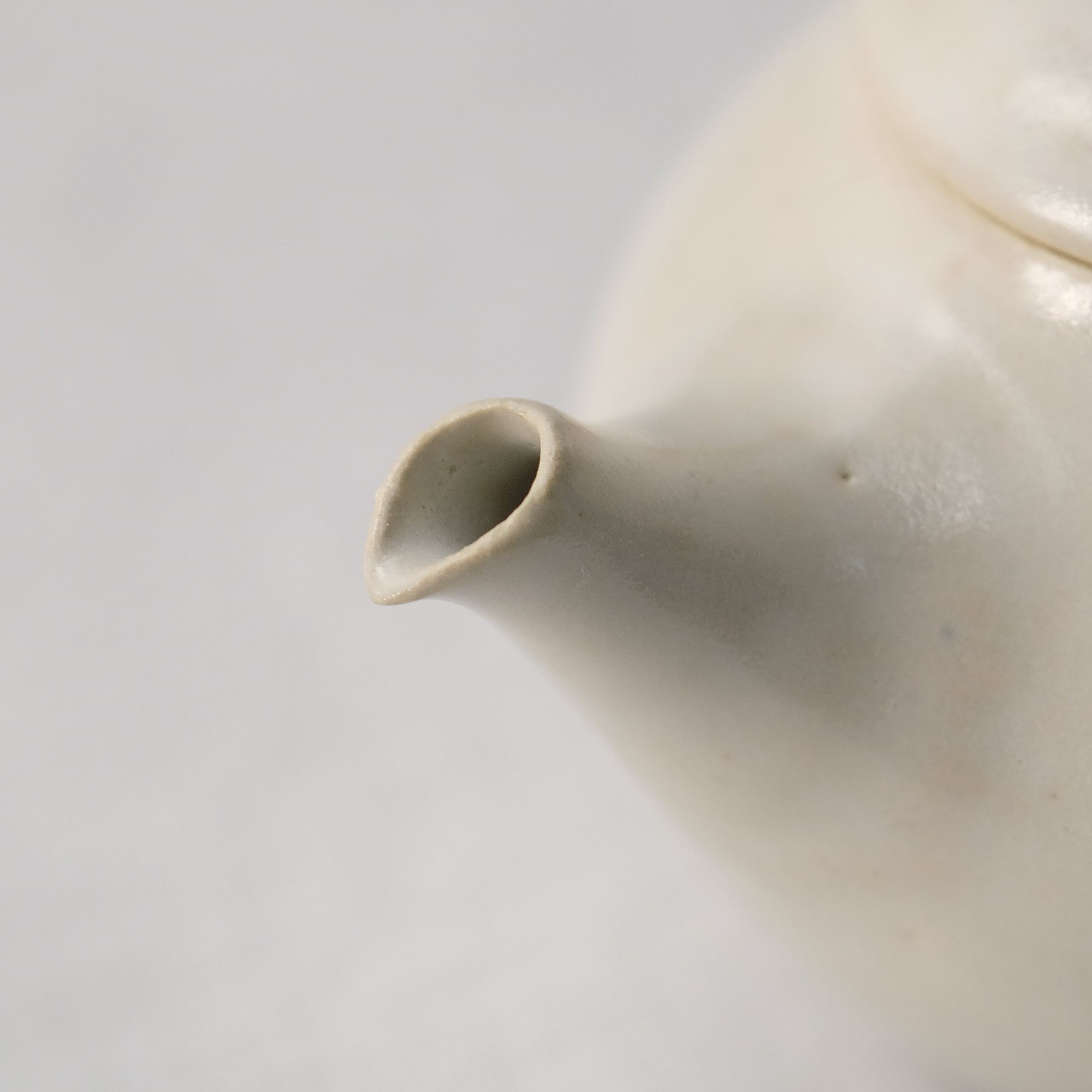 田中直純 NAOZUMI TANAKA 茶壺（大） no.18 | les trois entrepôts