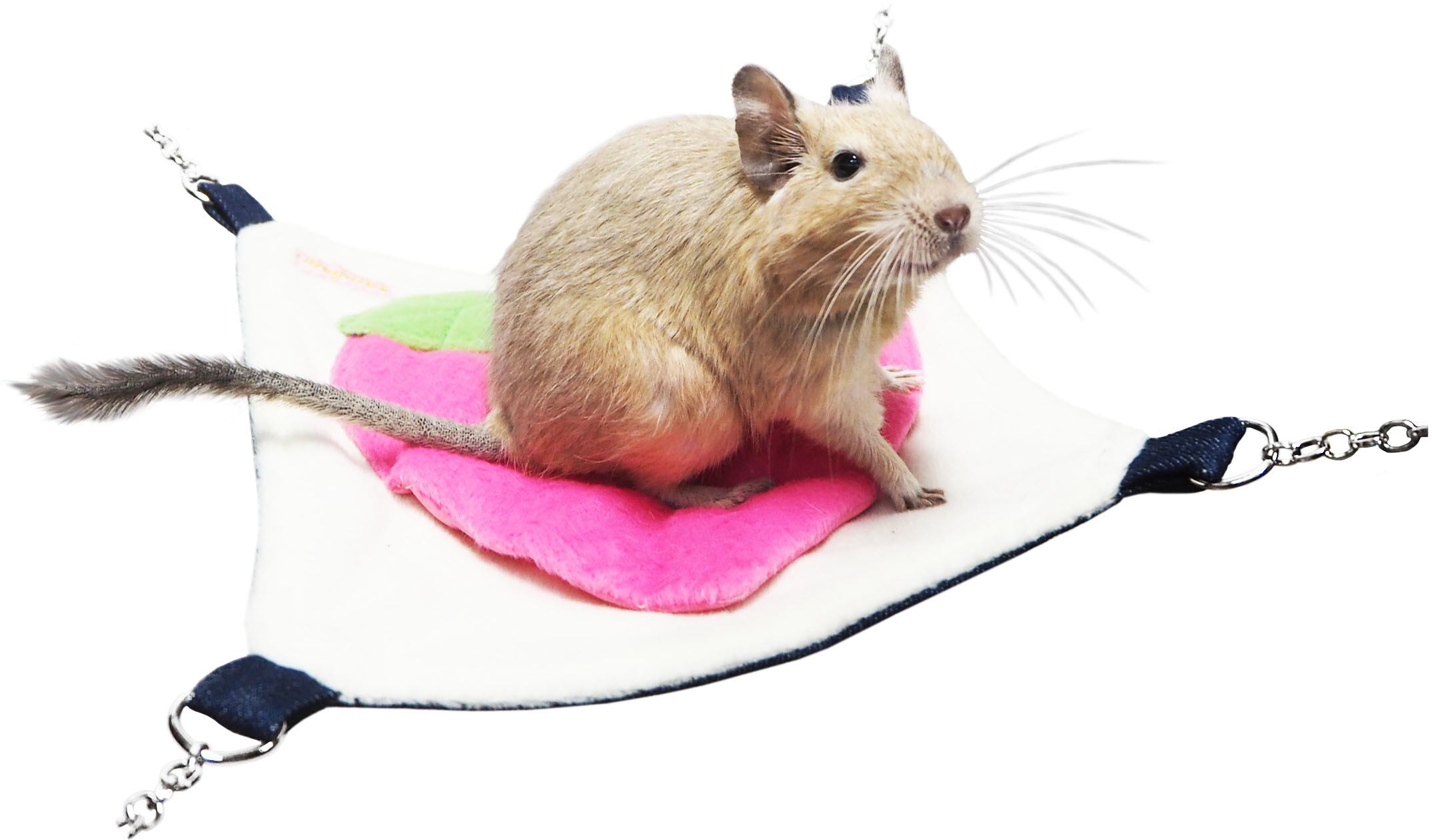 【小動物】プチ・フルーツ ハンモック りんご / もも / レモン