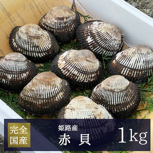 2026年3月17日（火）発送【姫路産】赤貝 1kg