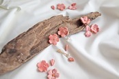 新作【信楽焼】サクラ〜春爛漫〜　陶器　ピアス（イヤリング）　伝統工芸　深翠シリーズ