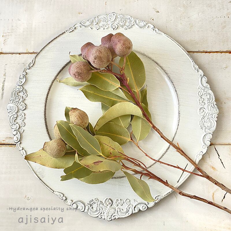 ドライフラワー メロリ様 lower ユーカリ ベルギーナッツのスワッグ 