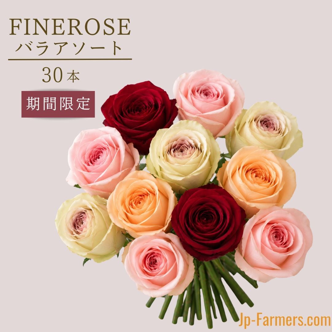 バラ類 | 新鮮お花問屋 Jp-Farmers.com
