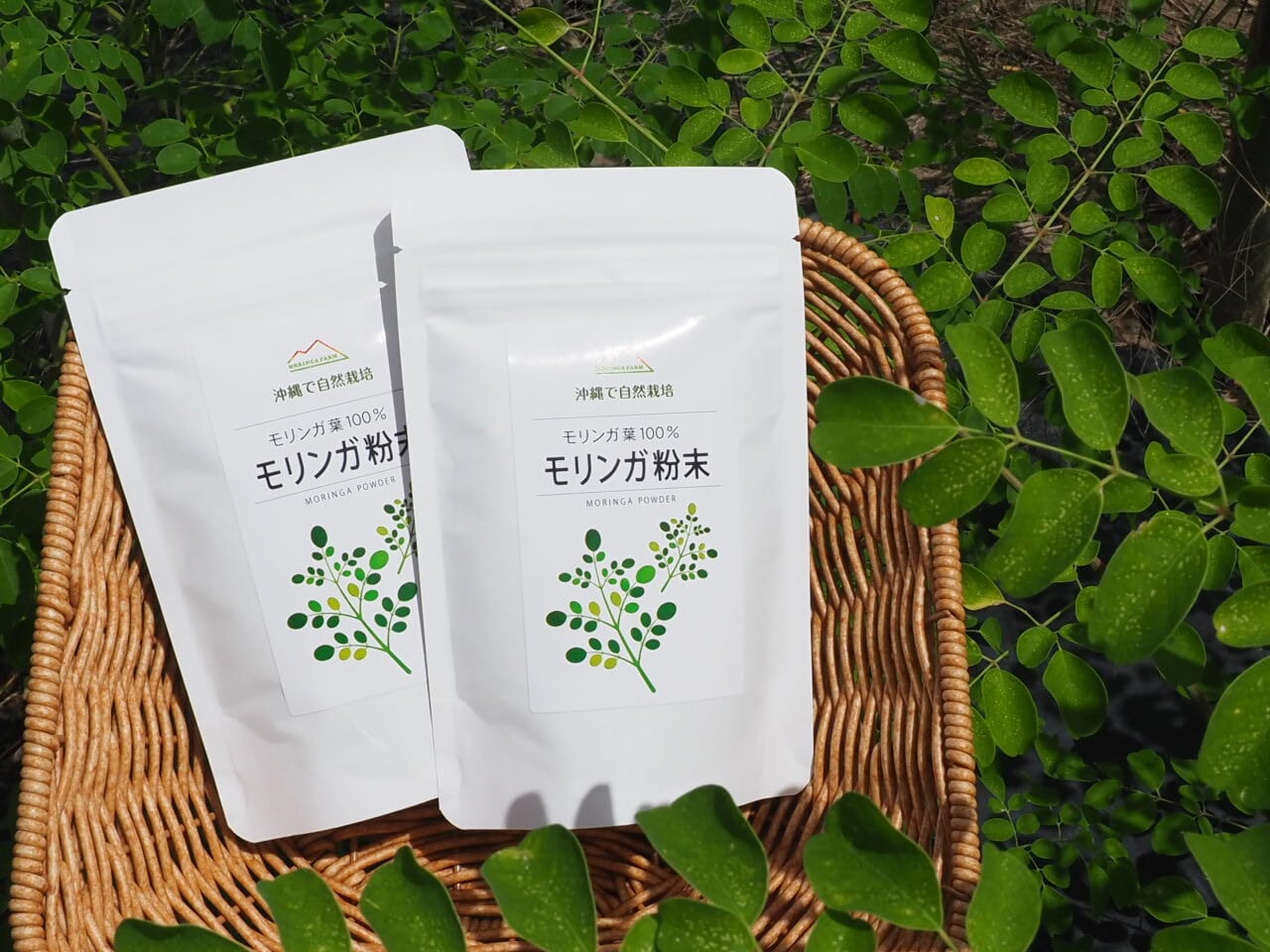 モリンガ粉末 30g 【沖縄南風原産100% 自然栽培】送料無料