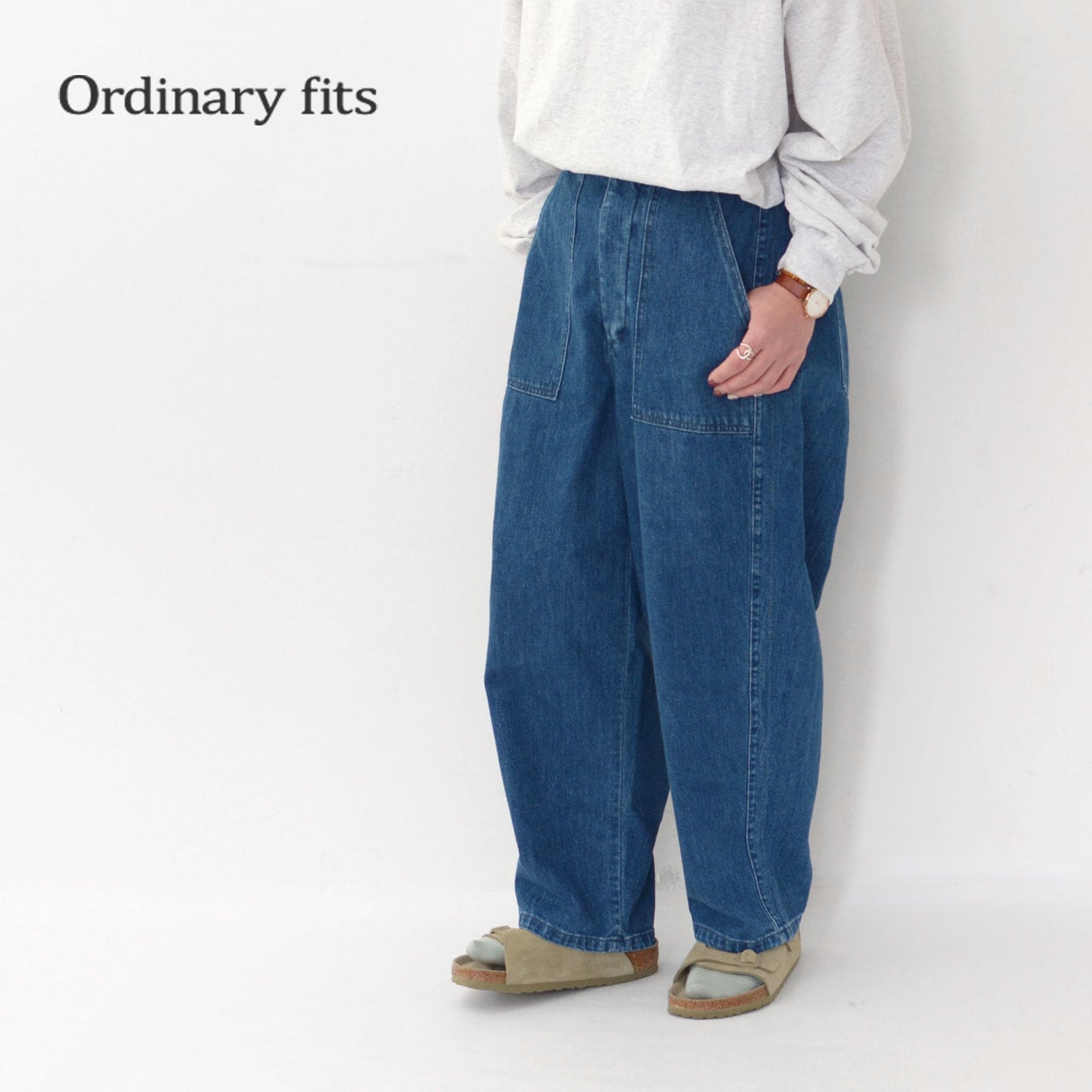ordinary fits [オーディナリーフィッツ] JAMES PANTS used [OF-P045 