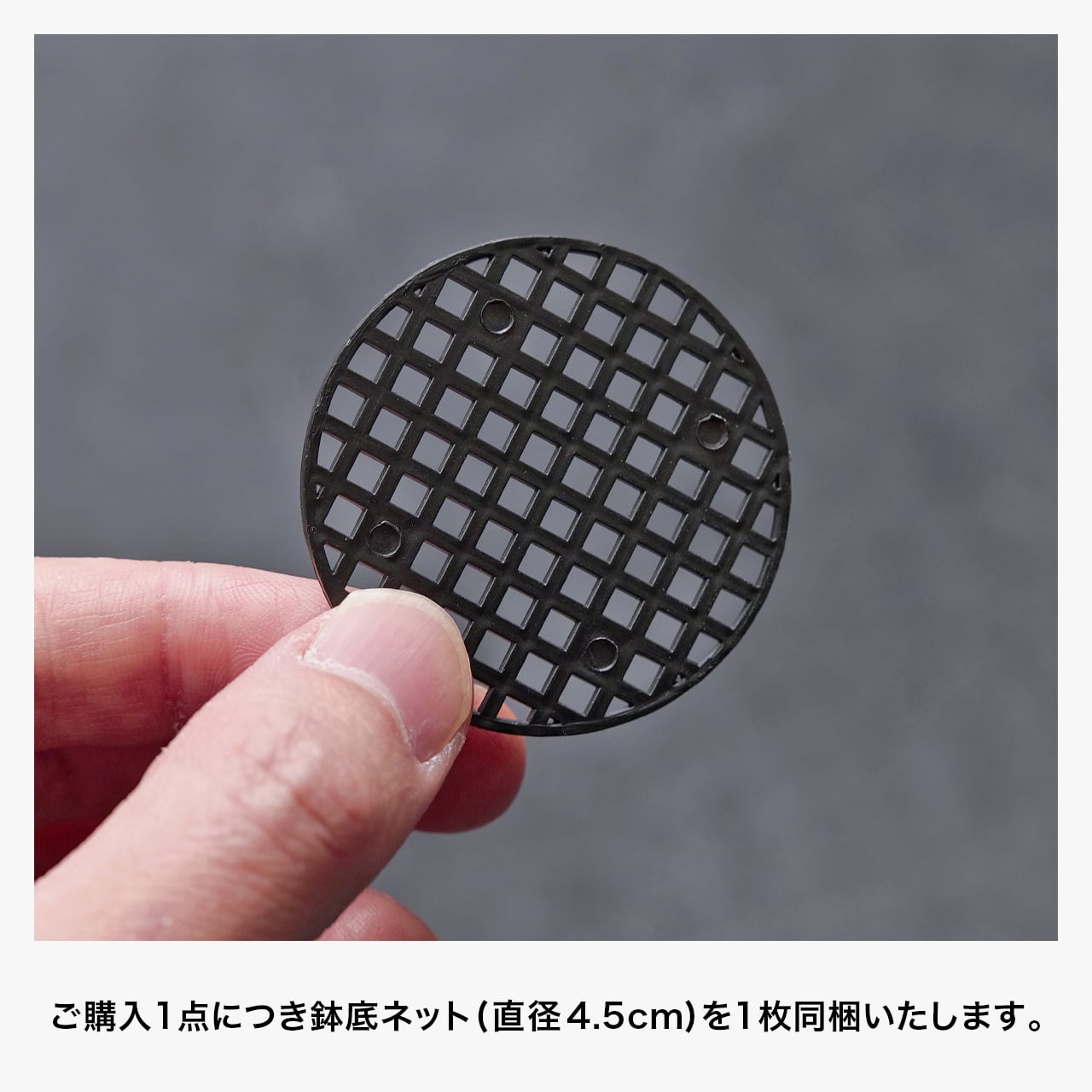 クラックスリット鉢 (12cm) | Green Mountain Store