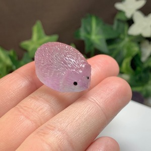 2.フローライトハリネズミさんの住処・~ハリーさんの休憩所~