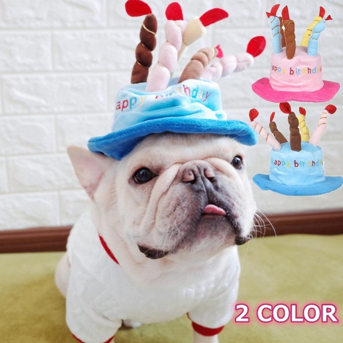 送料無料】KM569G犬 誕生日 バースデー ハット 帽子 ブルー ピンク 