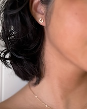 petit pierce - horseshoe