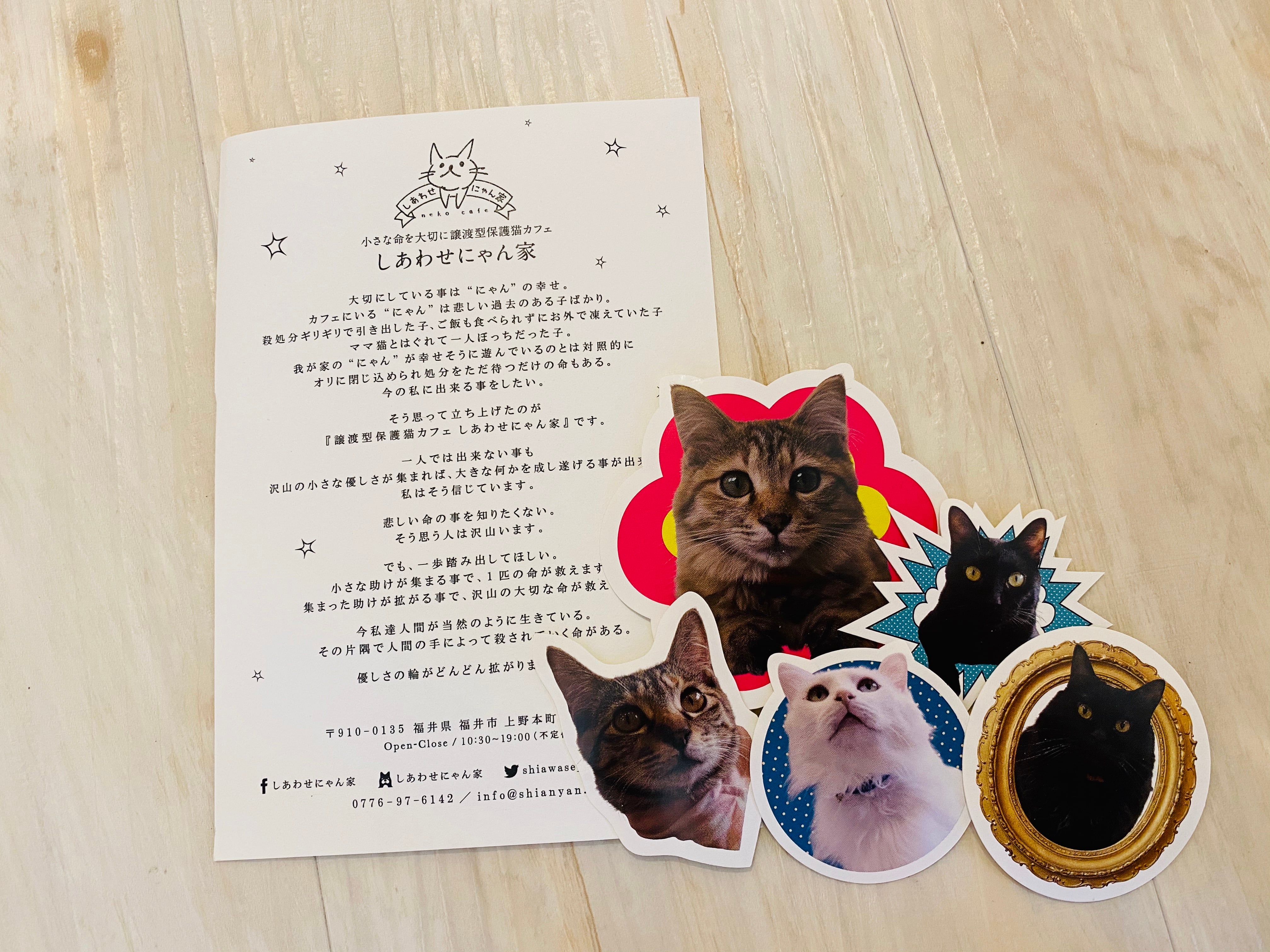 チャリティステッカー 譲渡型保護猫カフェ しあわせにゃん家 しあにゃんshop
