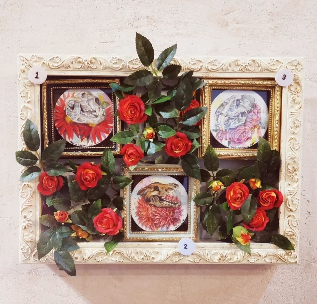 アルクトテリウムとガーベラ(骨と花シリーズ1) mS03 | Pay ID