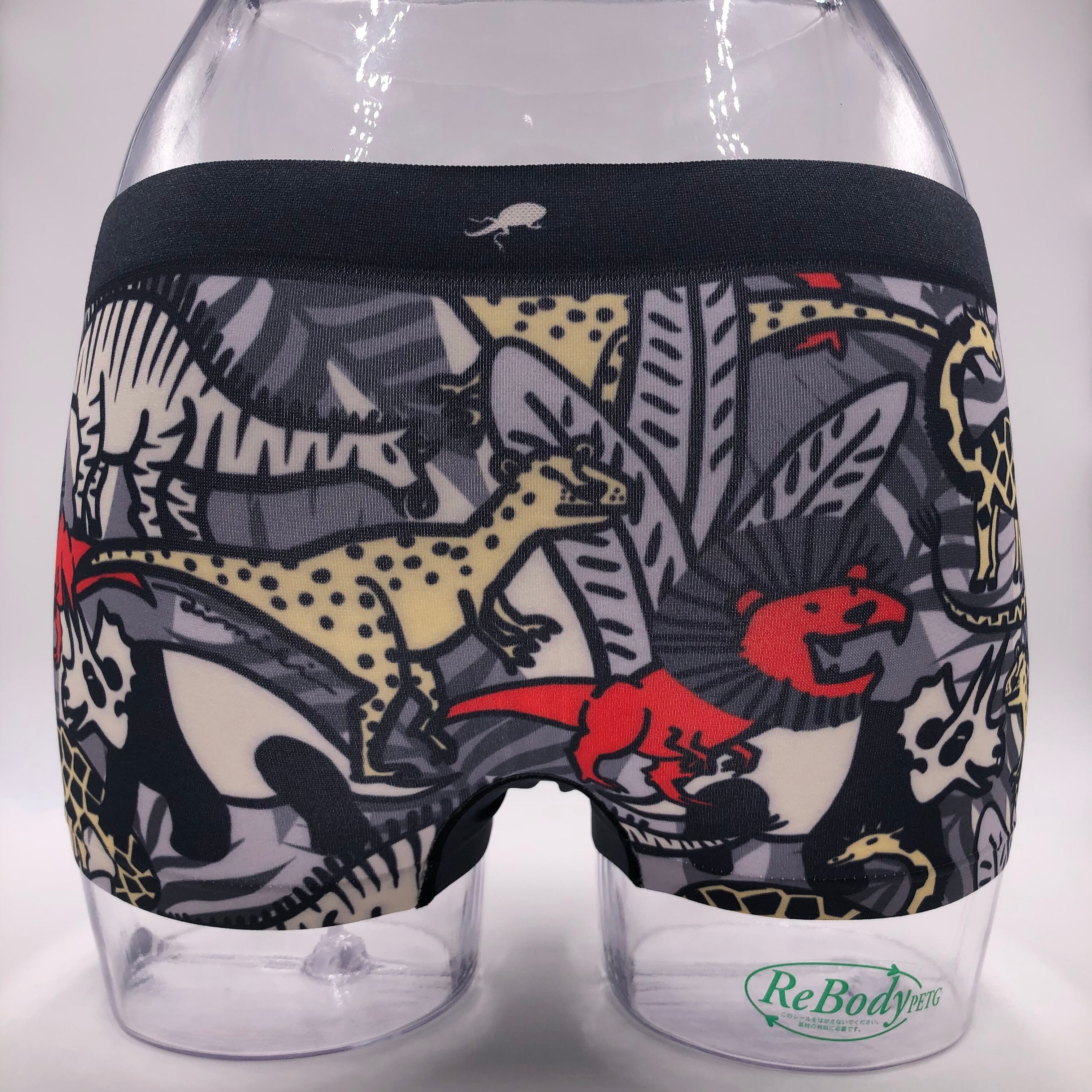 初版 cintula leggings ボクサーパンツ REOさんコラボ】ボクサーパンツ（数量限定） BHA082A :レディース ショーツ