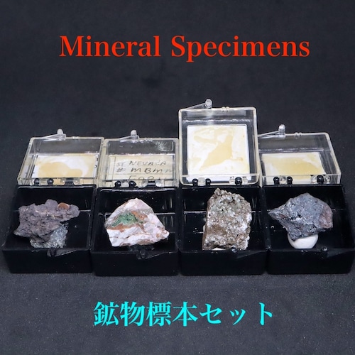 アメリカ産・鉱物標本４セット！ ケース入り  OTH109 原石 天然石 鉱物