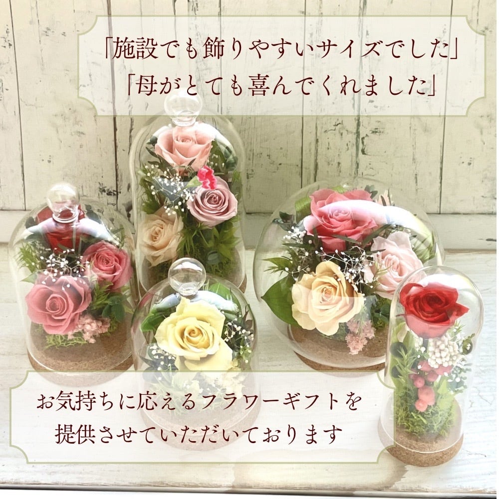 父の日 花 ギフト 2026 プリザーブドフラワー ガラスドーム 誕生日