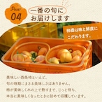 【2025年産】【11月発送】西条柿 2L 28玉（5ｋｇ）たしなみ