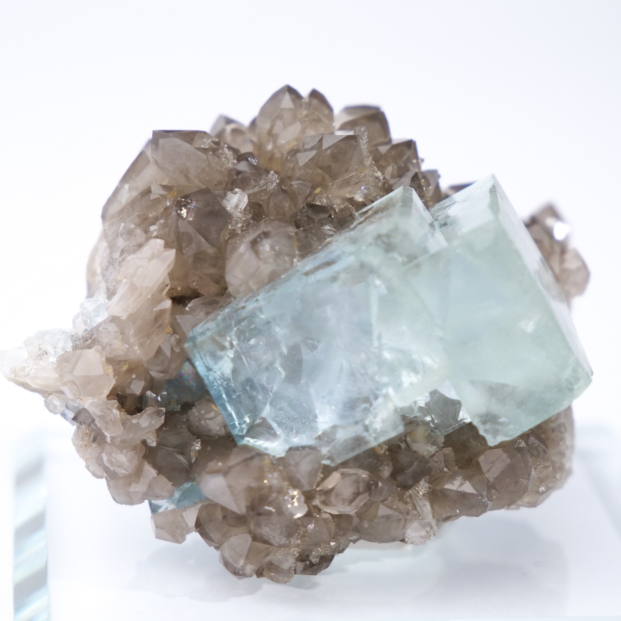 シャンファーリン産 フローライト スモーキークォーツ 共生 / 原石 標本【C_1】