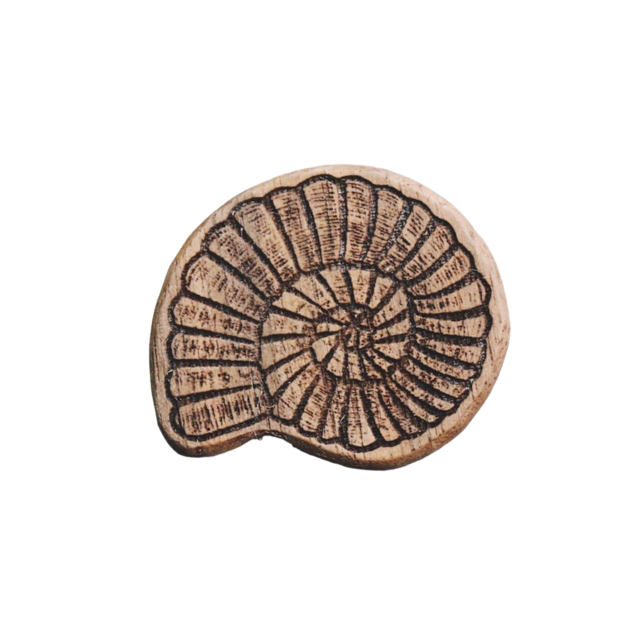 アンモナイト化石 木製ブローチ〈樹種：ウォルナット〉