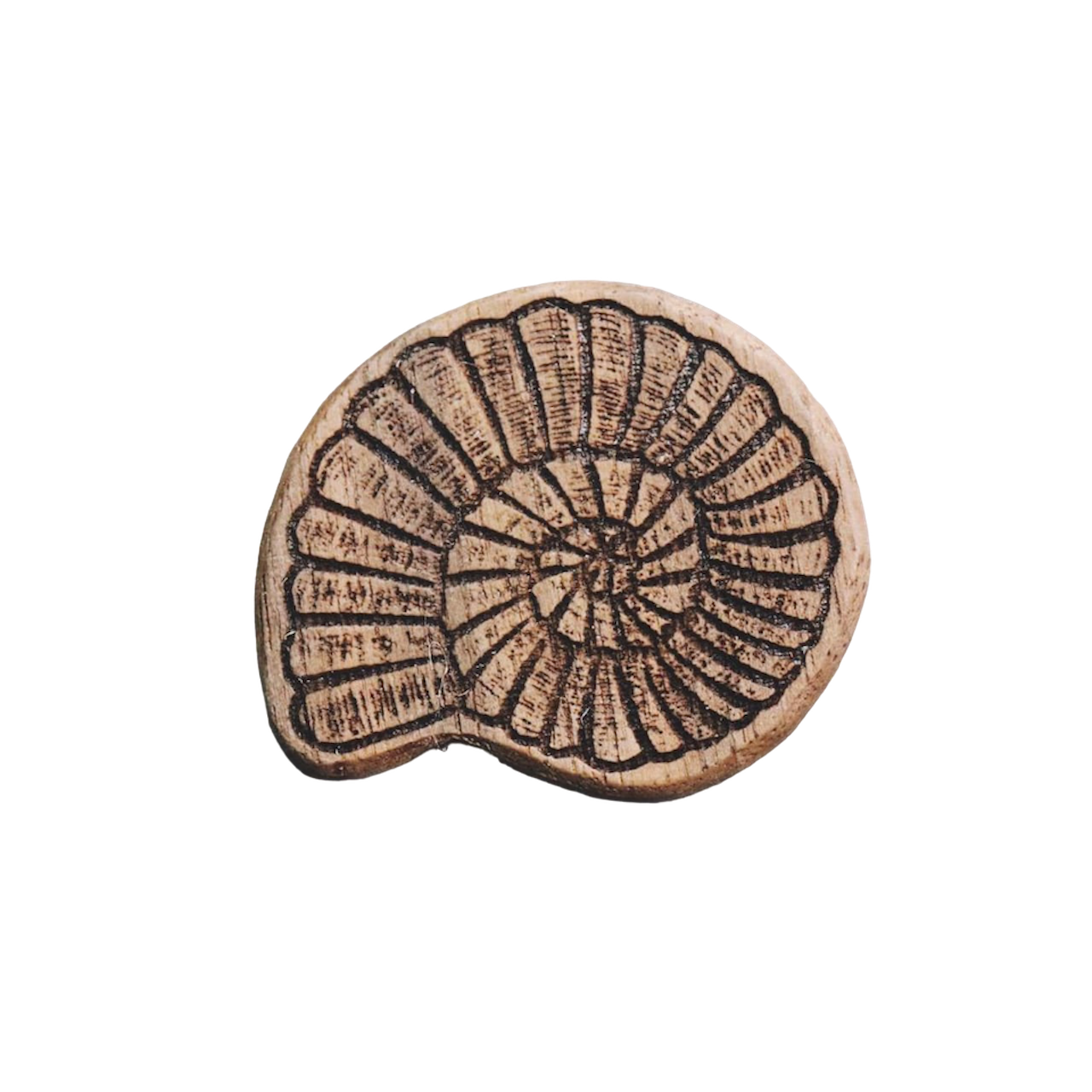 アンモナイト化石 木製ブローチ〈樹種:ウォルナット〉