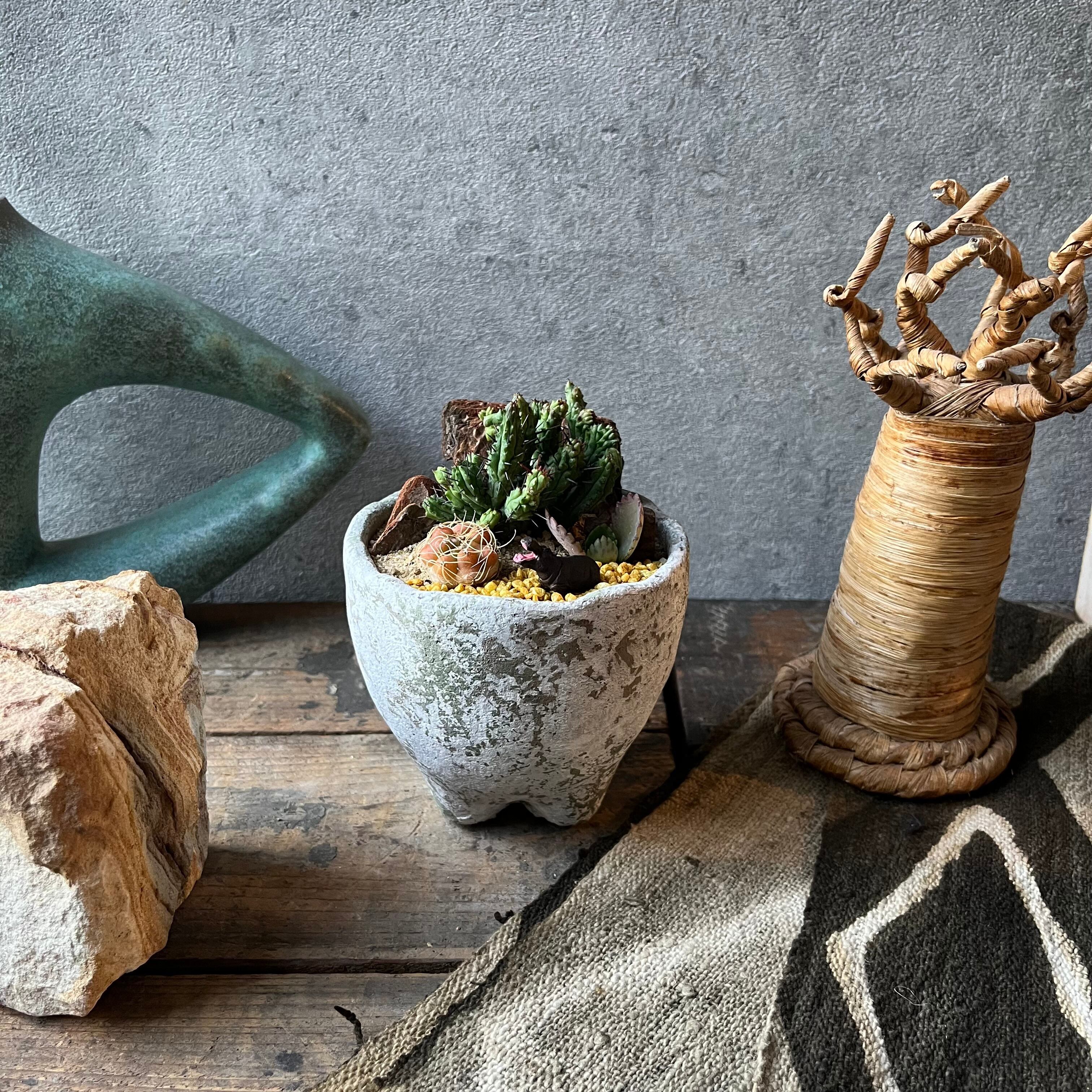 ★最終値下げ マリアンヌ・ウエストマン【KAKTUSシリーズ・サボテン小】 MINI Hippopotamus | SABOTEN MISSILE