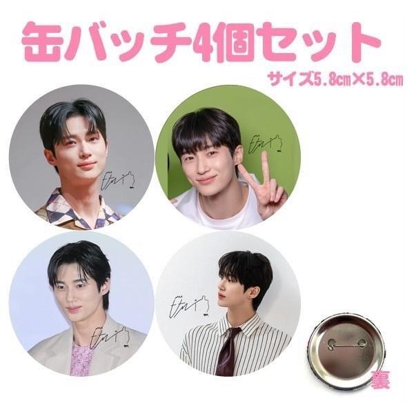 ビョンウソク 非売品 日本公式 缶バッチ ビョンウソク 非売品 日本公式 缶バッチ