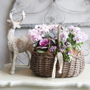 冬から春に楽しむ寄せ植え　ピンクの八重咲きシクラメンとビオラの春色のバスケットの寄せ植え　お正月にオススメ　届いてすぐ玄関に飾れる 　プレゼントにもオススメ　