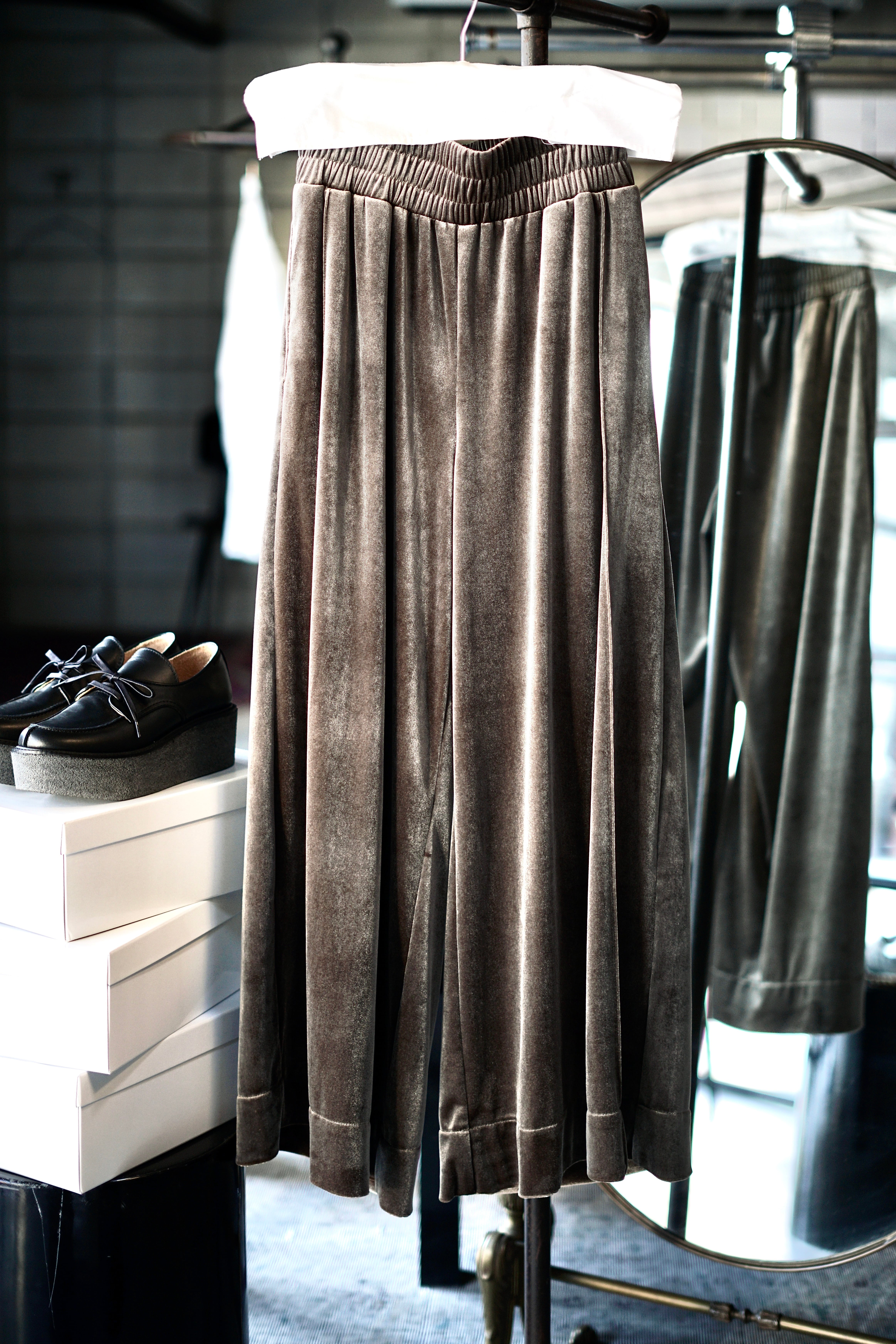 MOON TREE PLANET | JUQUI Online