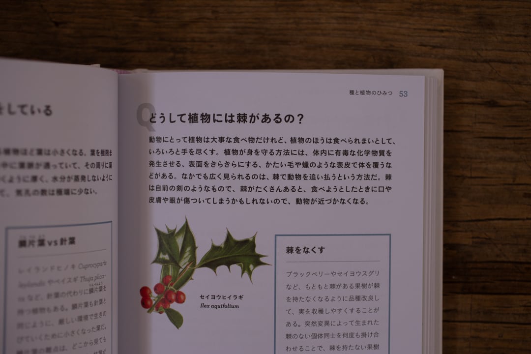 英国王立園芸協会とたのしむ 植物のふしぎ ／ ガイ・バーター著 | casimasi