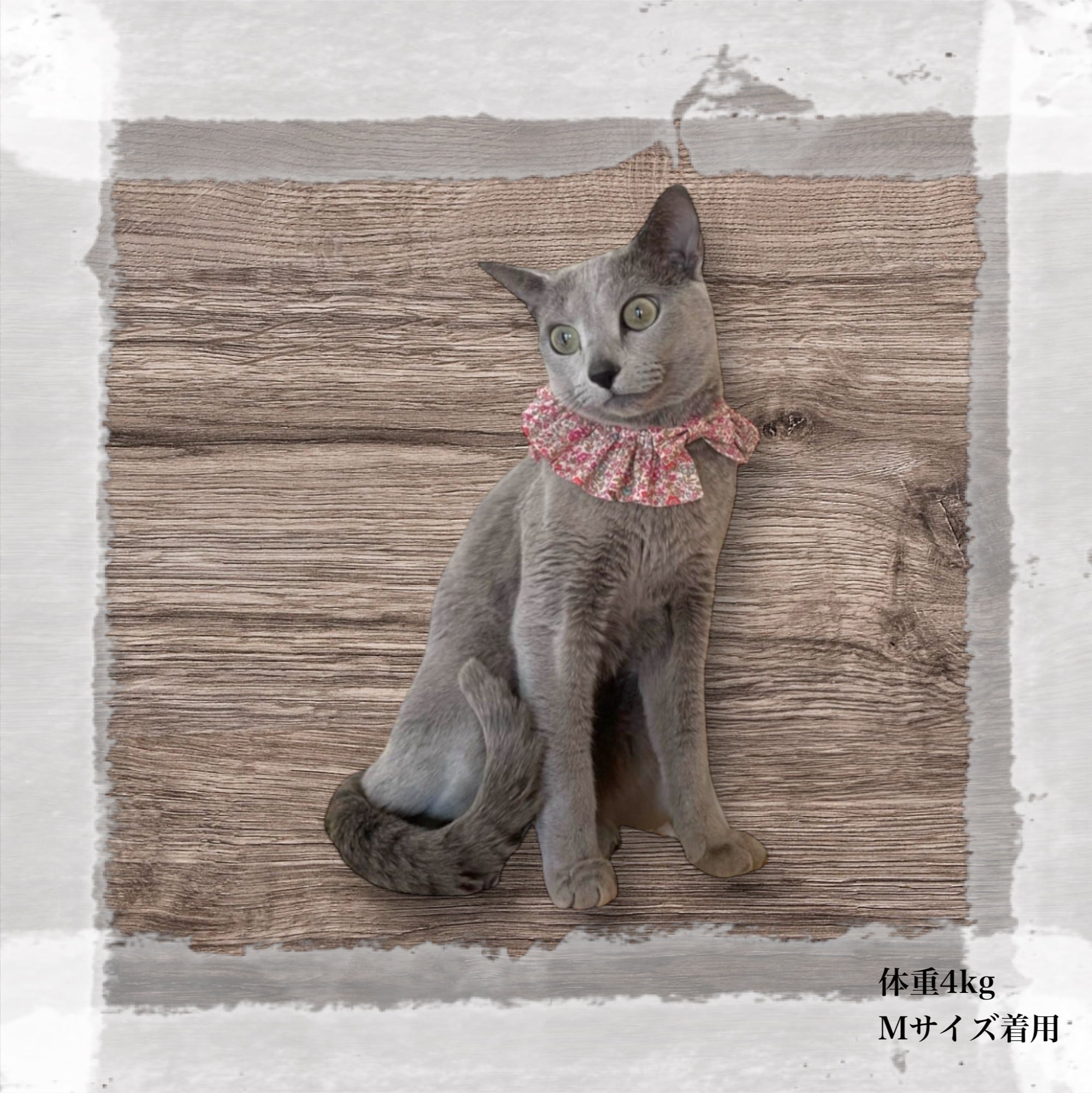 ハロウィン、ストライプアリス(ピンク)わんちゃん猫ちゃん用襟付き首輪