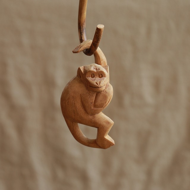 ひょうきんな猿2