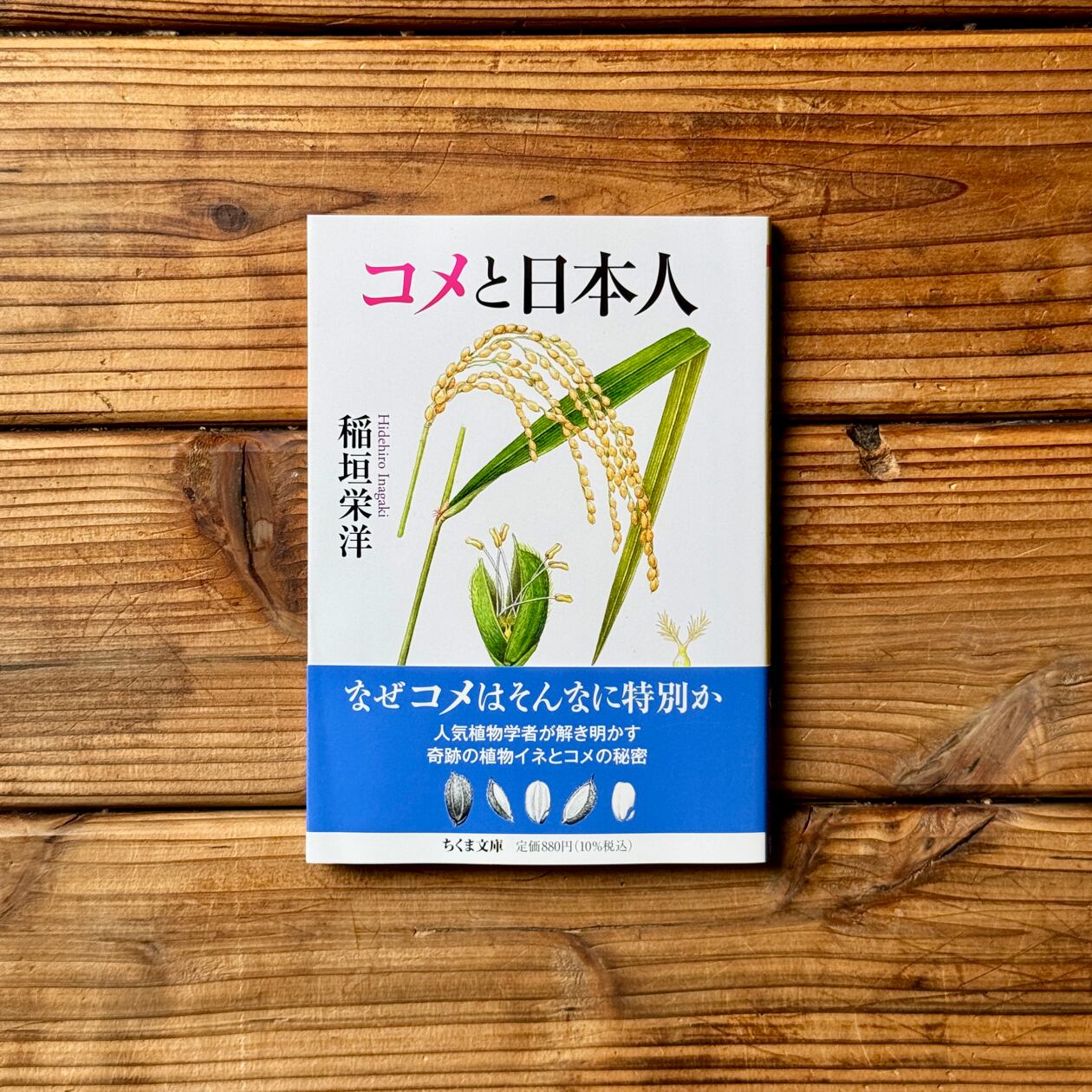 視線と差異 フェミニズムで読む美術史｜グリゼルダ・ポロック(著