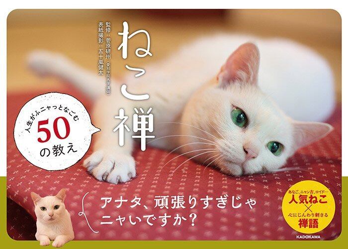ねこ禅 写真集 | 猫雑貨屋 飛び猫商店