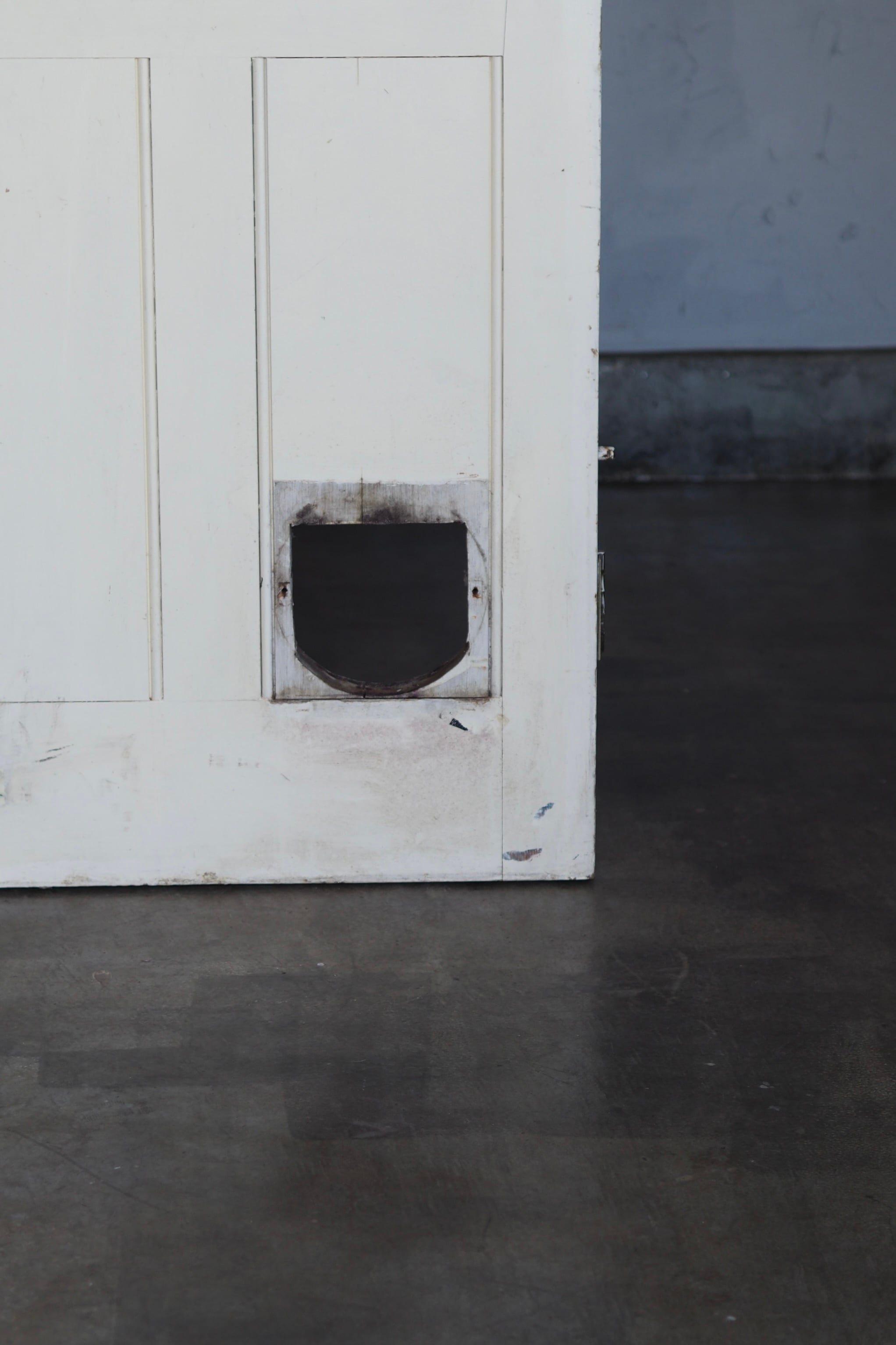 アンティーク白いドア-antique door | アンティーク.ヴィンテージ家具