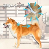 アース・ペット 薬用ショットオン 中型犬用 1.6g 3本入り