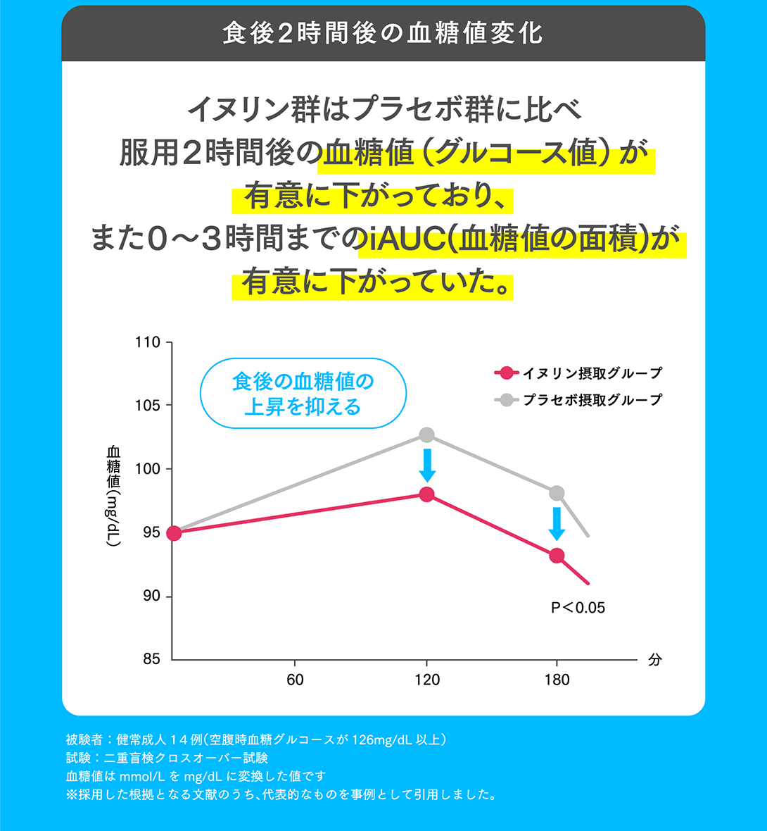 母の日ギフト【機能性表示食品】菊芋の極み 単品2袋