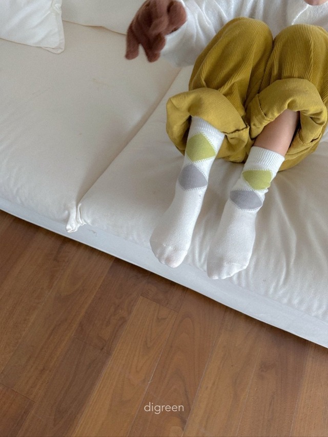 〘予約〙digreen / socks_argyle