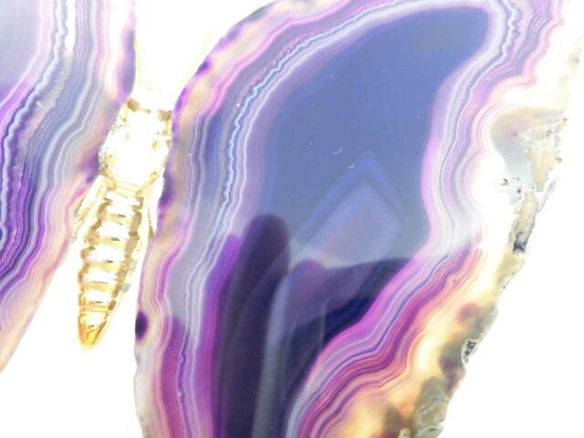 【瑪瑙】　ゴージャス蝶々　no.1