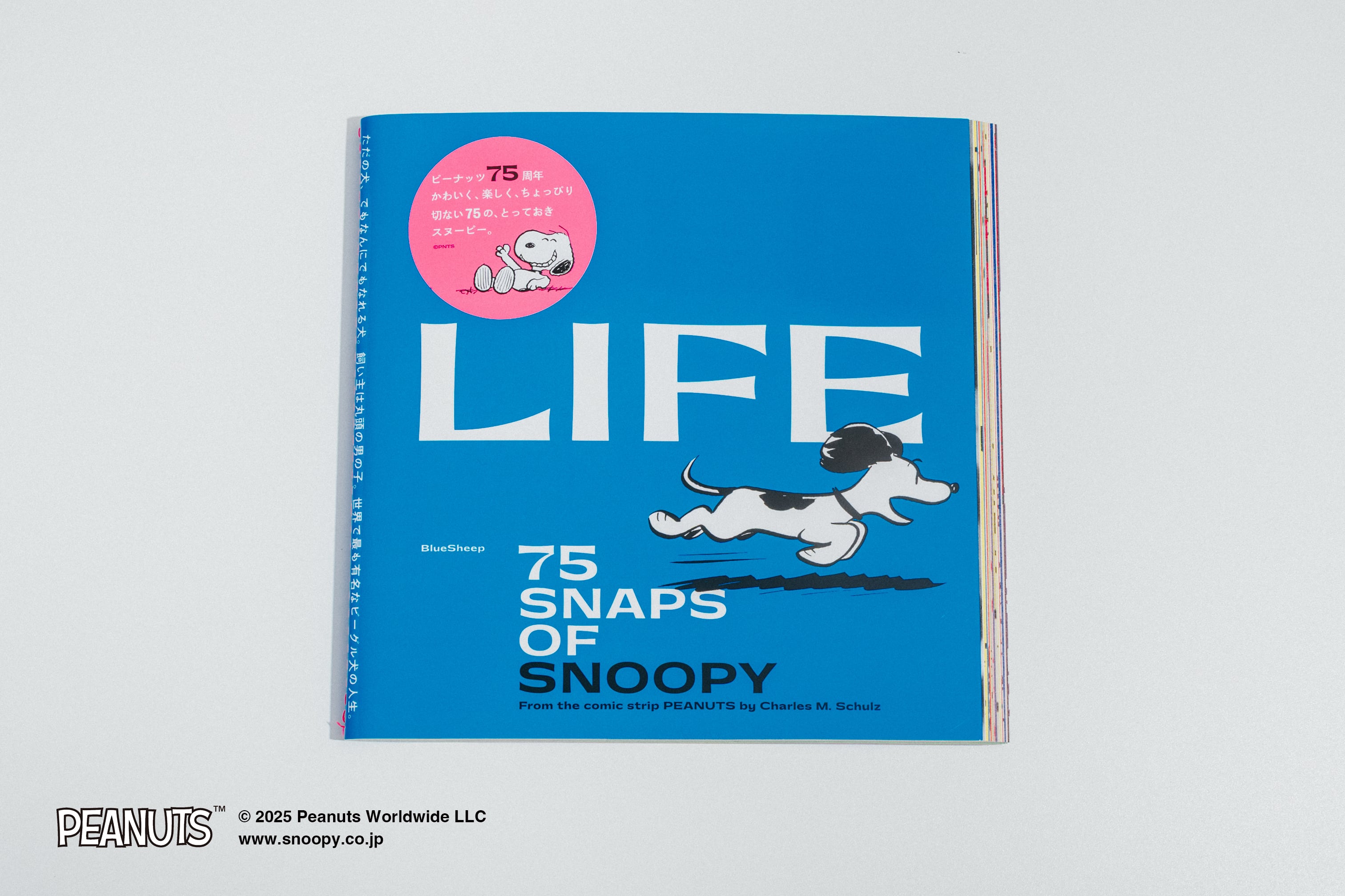 Peanut75thAnniversary スヌーピーコミックスライフ　シリーズ 楽天市場】Peanuts 75th Anniversary スヌーピー コミック