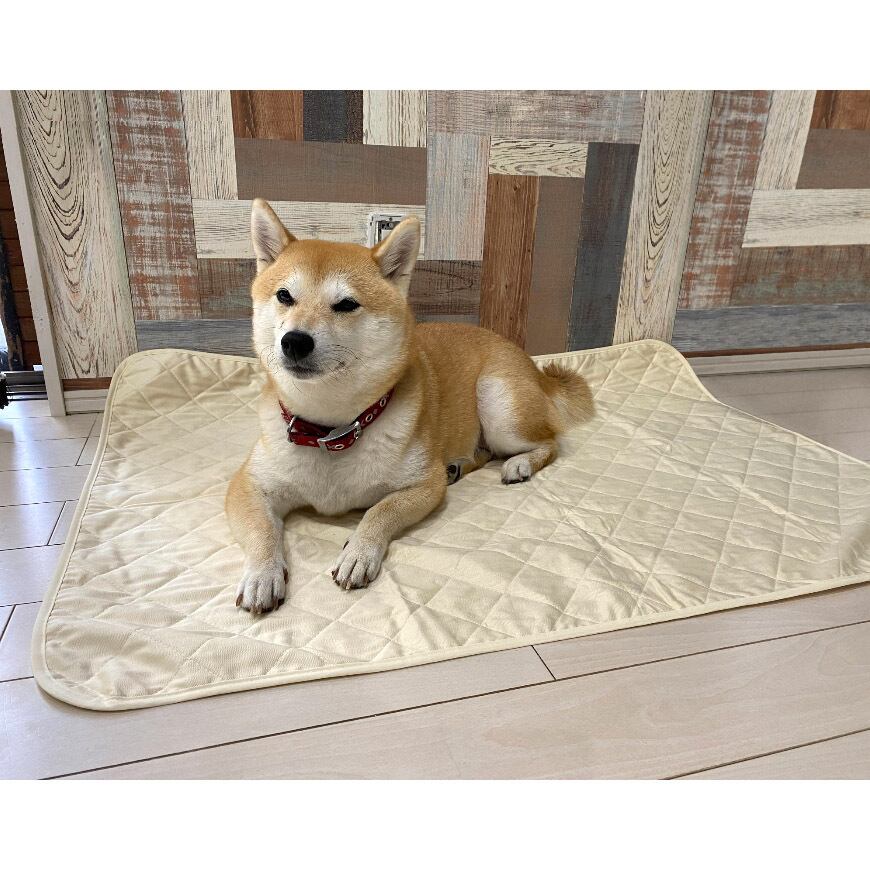 在庫限り 日本製【 MIMI 】洗える 防水 ペット マット 70×100cm ペット