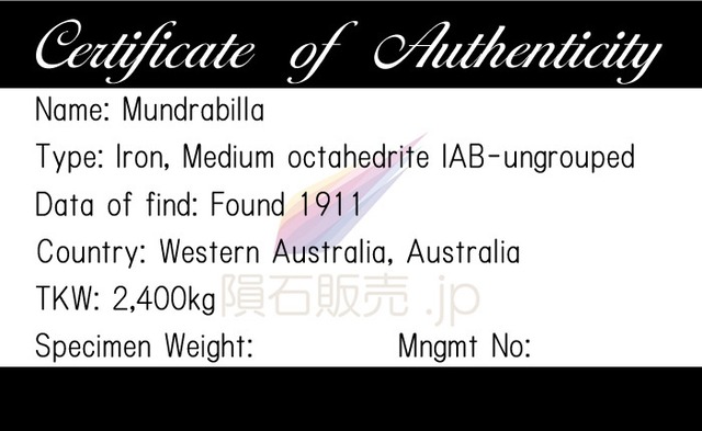 マンドラビラ 隕石 67.3g オクタヘドライト 鉄隕石 原石 標本 Mundrabilla M2609
