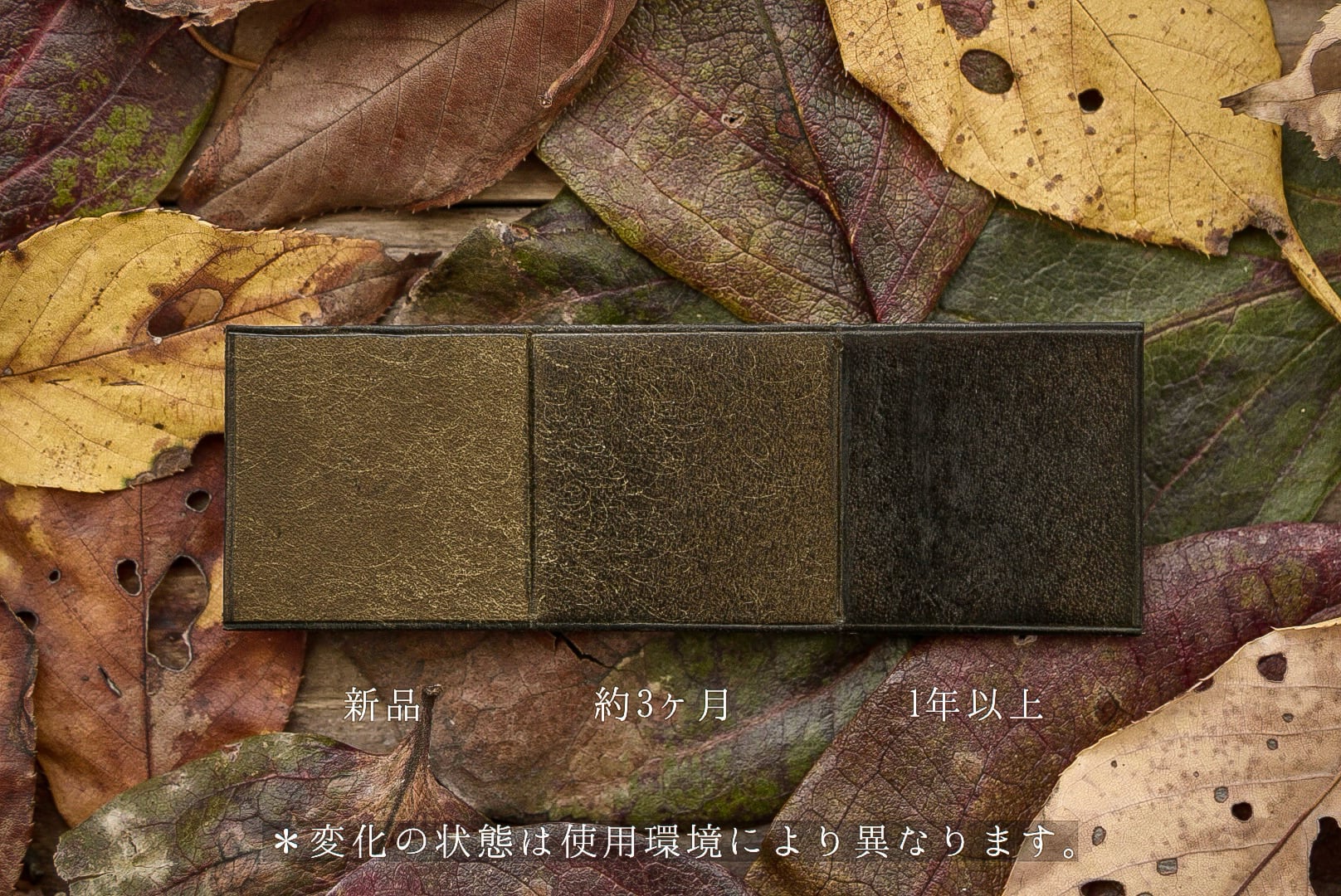 折財布 | 凩；kogarashi