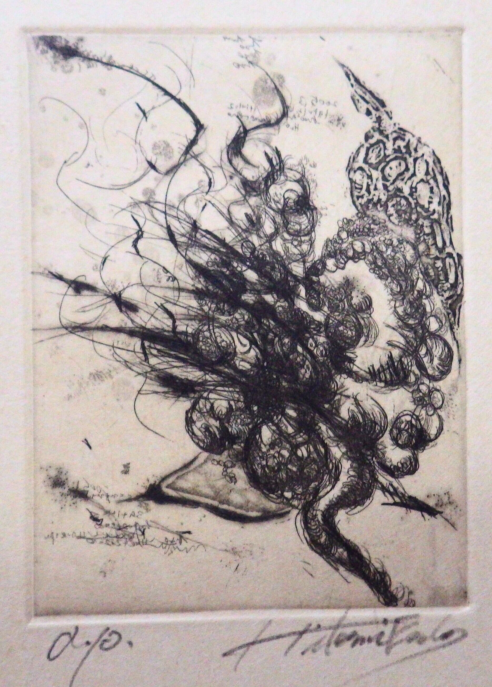銅版画 人物画 芳光作 約30cm x 25cm サイン入り】永井一正 銅版画作品 「LIFE 8」 永井一正 -の商品詳細